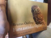 Fantastiska f&aring;glar