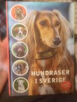 Hundraser i Sverige