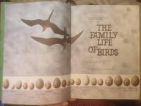 The family life of birds