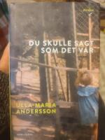 Du skulle sagt som det var : Roman