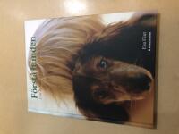 F&ouml;rst&aring; hunden om hundens psyke och behov