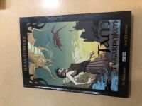 Drakriddare 1 - Tam, tiggarpojken 