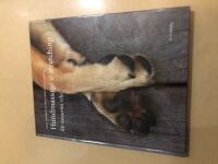 Hundmassage & stretching l&aring;t tassarna vila