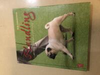 Handling att visa hund p&aring; utst&auml;llning