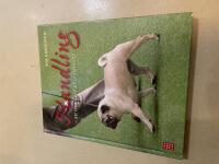 Handling att visa hund p&aring; utst&auml;llning