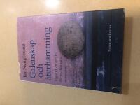 Galenskap och &aring;terh&auml;mtning v&auml;gar till ett nytt liv f&ouml;r psykiskt sjuka m&auml;nniskor