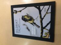 Bildrikt talat reflektionsbok