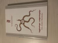 Tagghudingar - svalgstr&auml;ngdjur - Echinodermata - Hemichordata