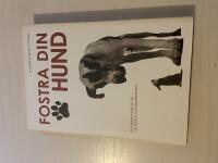 Fostra din hund en v&auml;gledning till de vanligaste hundproblemen