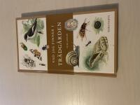 Vad jag finner i tr&auml;dg&aring;rden 