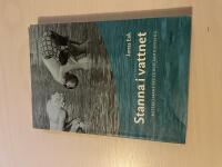 Stanna i vattnet kateketikens syfte och sammanhang