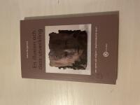 En illusion och dess utveckling om synen p&aring; religion i psykoanalytisk teori