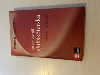 Att utbildas till sjuksk&ouml;terska perspektiv p&aring; l&auml;rande