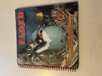 Floyd i Kokkolokkoskogen 