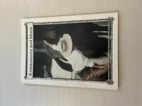 Kommunicera med h&auml;sten