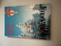 Flyginstrument p&aring; Malmen 1919-1999 