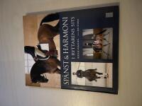 Sp&auml;nst & harmoni i ryttarens sits 