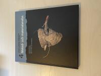 Projekt Gl&auml;borg-Rabbalshede - Bygden innanf&ouml;r fjordarna 4 - Metod- och materialanalys