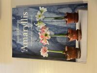 Amaryllis &auml;lskad vinterblomma!