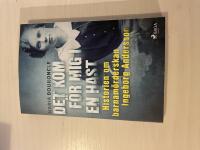 Det kom f&ouml;r mig i en hast historien om barnam&ouml;rderskan Ingeborg Andersson