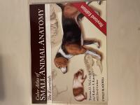 Color atlas of small animal anatomy : the essentials 