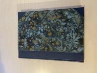 V&auml;nersborgs historia och V&auml;nersborgs-historier