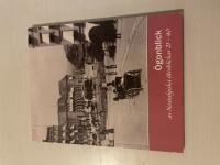 &Ouml;gonblick av nostalgiska &aring;terblickar 21-40