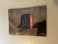 Elefanten i klassrummet att hj&auml;lpa elever till ett lustfyllt l&auml;rande i matematik