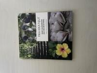 Fika, kika, njut runt Djurg&aring;rden och Brunnsviken