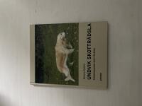 Undvik skottr&auml;dsla f&ouml;rebyggande skottr&auml;ning