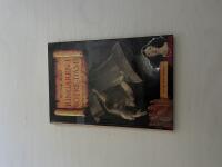 Ringaren i Notre-Dame &aring;terber&auml;ttad av Maj Bylock