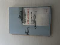 Mellanchef ett komplext uppdrag