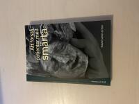 Att f&ouml;rst&aring; patienter med sm&auml;rta 