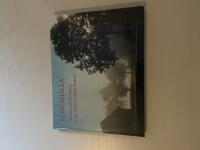 Kungah&auml;lla problem och forskning kring stadens &auml;ldsta historia