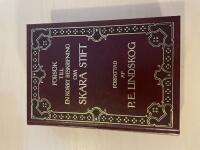 F&ouml;rs&ouml;k till en korrt beskrifning om Skara stift