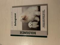 Bolognese - Special Rare-Breed Edition - A Comprehensive Owner's Guide