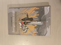 Sveriges sista strid fantastiskt nattstycke