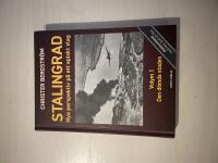 Stalingrad nya perspektiv p&aring; ett episkt slag