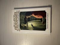 Kr&ouml;nikan om landet Prydain 4 - Taran vandraren 