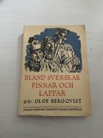 Bland svenskar, finnar och lappar