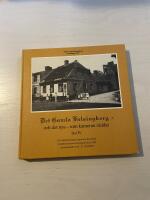 Det gamla Helsingborg - och det nya som kameran r&auml;ddat Del IV (4)