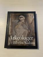Arkeologer i Bibelns Sodom svenska D&ouml;dahavs-expeditionen till Jordanien