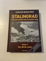 Stalingrad nya perspektiv p&aring; ett episkt slag - Volym 1 den d&ouml;da staden