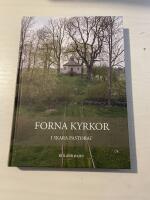 Forna kyrkor i Skara pastorat 