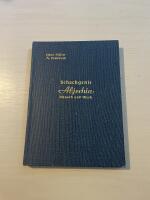 Schachgenie Aljechin - Mensch und Werk