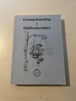 Exempelsamling i h&aring;llfasthetsl&auml;ra