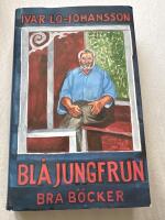 Bl&aring; jungfrun : en roman om diktens f&ouml;delse