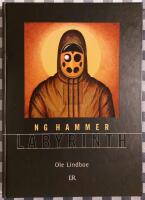 N G Hammer : labyrinth