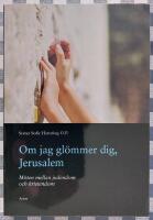 Om jag gl&ouml;mmer dig, Jerusalem : m&ouml;ten mellan judendom
