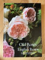 Old roses and English roses
